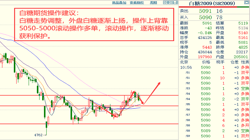 2025年今晚澳门和香港特马-详细解答、解释与落实